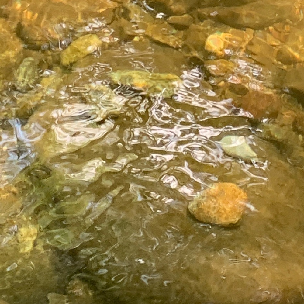 Meet your Posher, Will